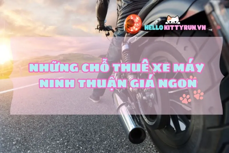 Những chỗ thuê xe máy Ninh Thuận siêu xịn – Giá ngon, chất lượng đỉnh 2025