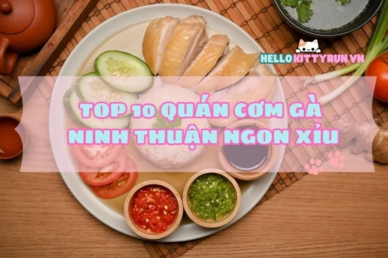 Top 10 quán cơm gà Ninh Thuận 2025 ngon xỉu, fan gà không thể bỏ lỡ!