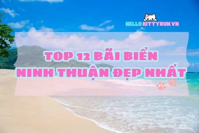 Top 12 bãi biển Ninh Thuận đẹp ngất ngây 2025