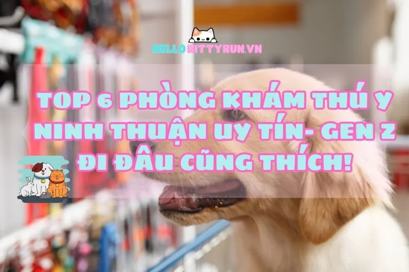 Top 6 Phòng Khám Thú Y Ninh Thuận 2025 Uy Tín– Gen Z Đi Đâu Cũng Thích!
