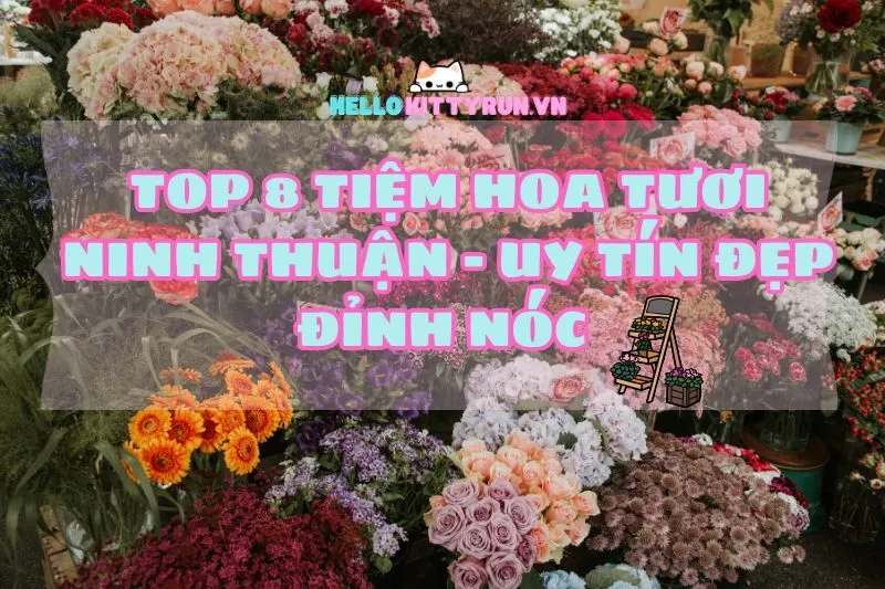 Top 8 Tiệm Hoa Tươi Ninh Thuận 2025 – Địa Chỉ Chuẩn xịn, Giá Thơm