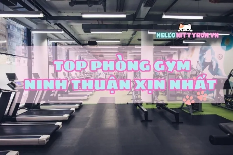 Top phòng gym Ninh Thuận xịn nhất – Đầy đủ thiết bị & giá rẻ 2025