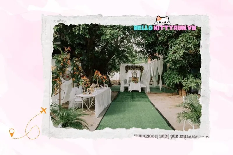 Bắp Decor