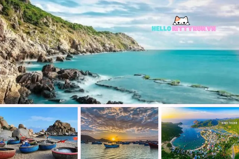 Biển Ninh Chữ Ninh Thuận có gì đặc biệt?