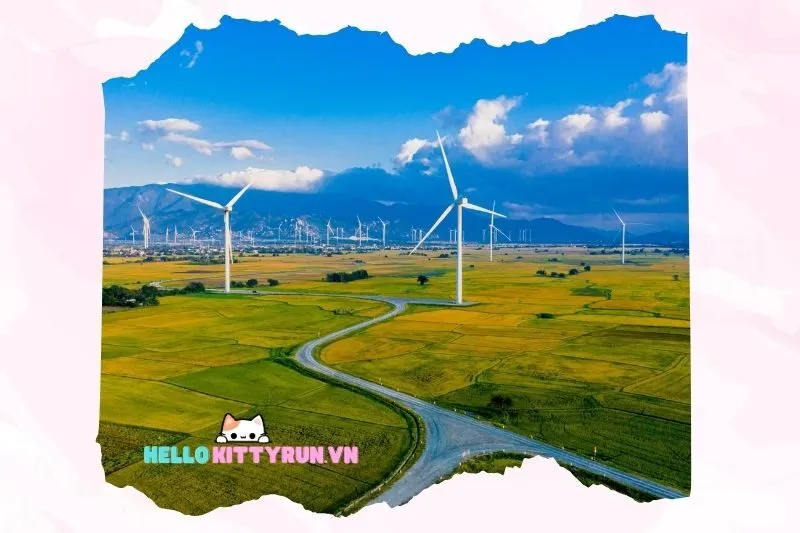 Cánh đồng điện gió Đầm Nại