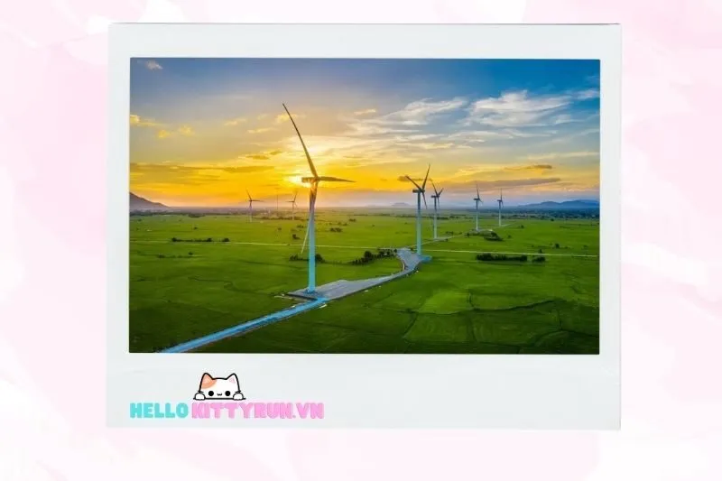 Cánh đồng điện gió