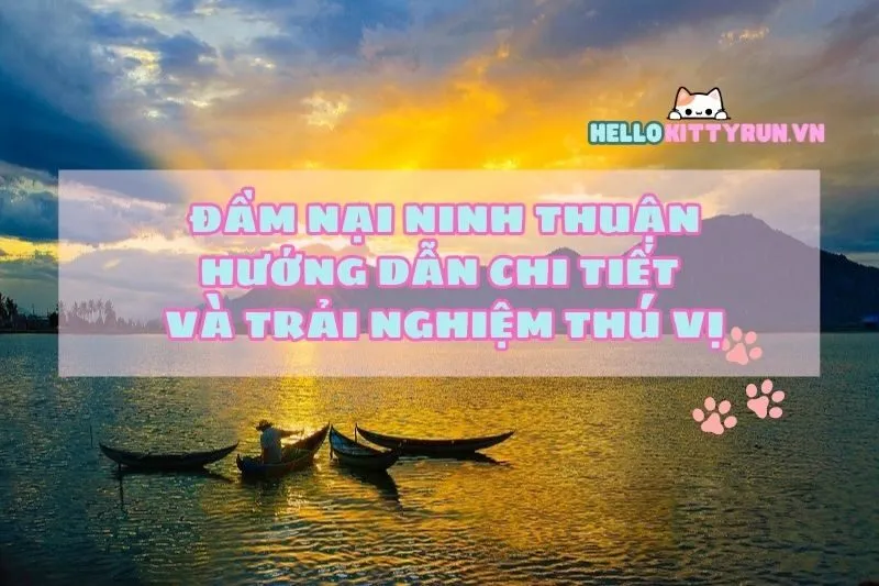 Đầm Nại Ninh Thuận: Hướng dẫn chi tiết và trải nghiệm thú vị
