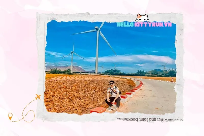 Điểm Đặc Biệt Của Cánh Đồng Điện Gió Ninh Thuận