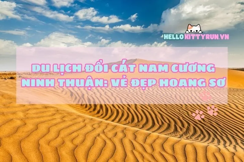 Du Lịch Đồi Cát Nam Cương Ninh Thuận: Vẻ Đẹp Hoang Sơ