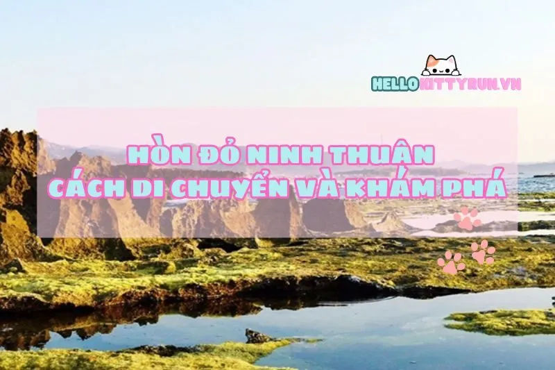 Hòn Đỏ Ninh Thuận: Cách di chuyển và hoạt động thú vị