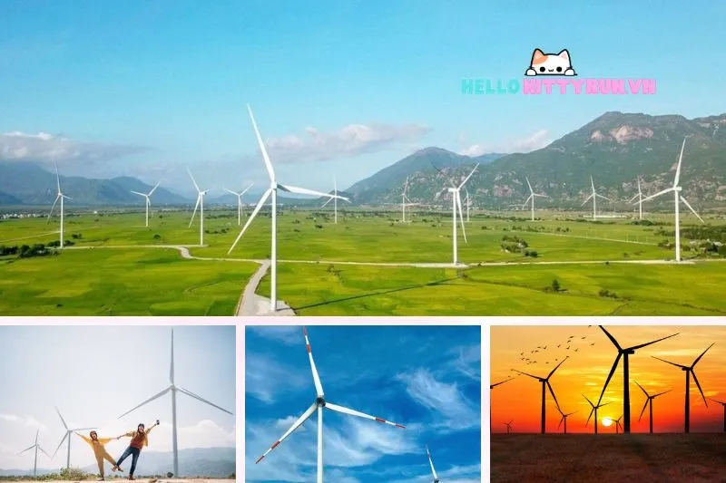 Khám Phá Cánh Đồng Điện Gió Ninh Thuận