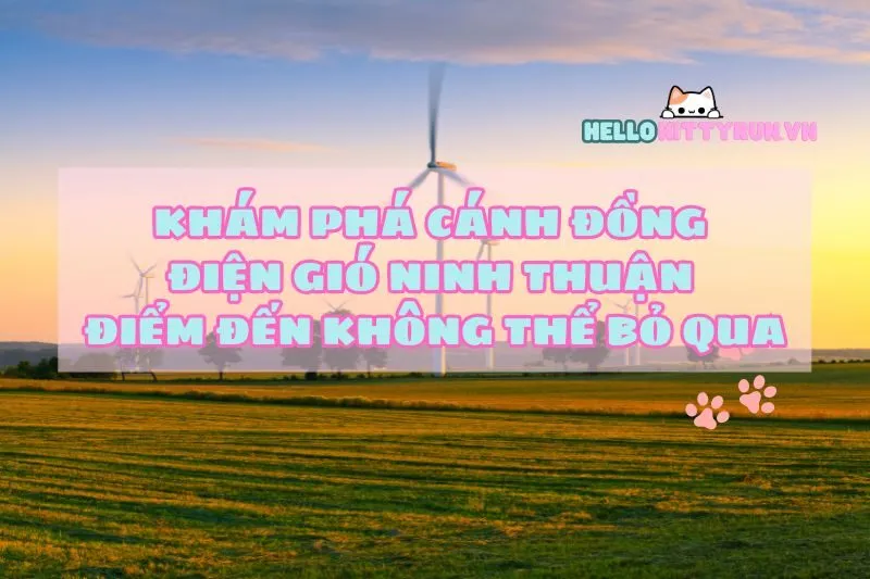 Khám Phá Cánh Đồng Điện Gió Ninh Thuận: Điểm Đến Không Thể Bỏ Qua