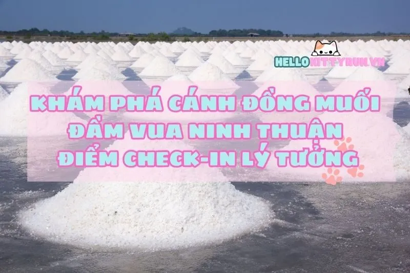 Khám phá Cánh đồng muối Đầm Vua Ninh Thuận: Điểm check-in lý tưởng