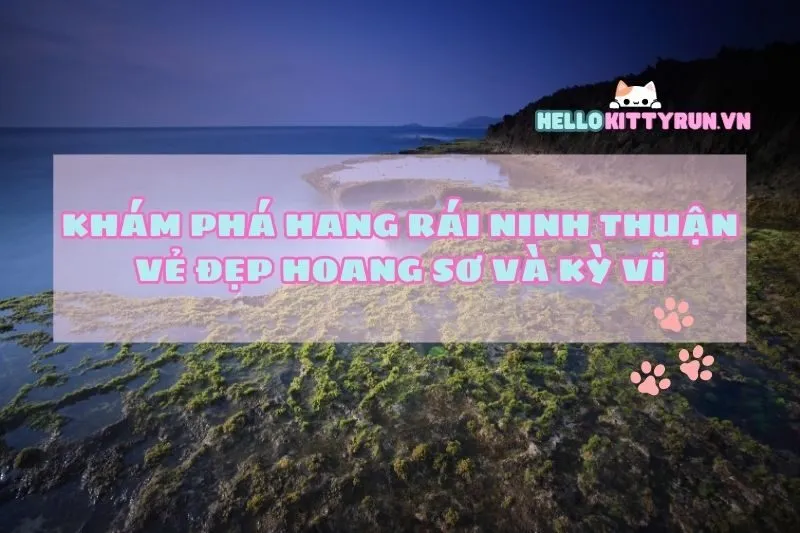 Khám phá Hang Rái Ninh Thuận: Vẻ đẹp hoang sơ và kỳ vĩ