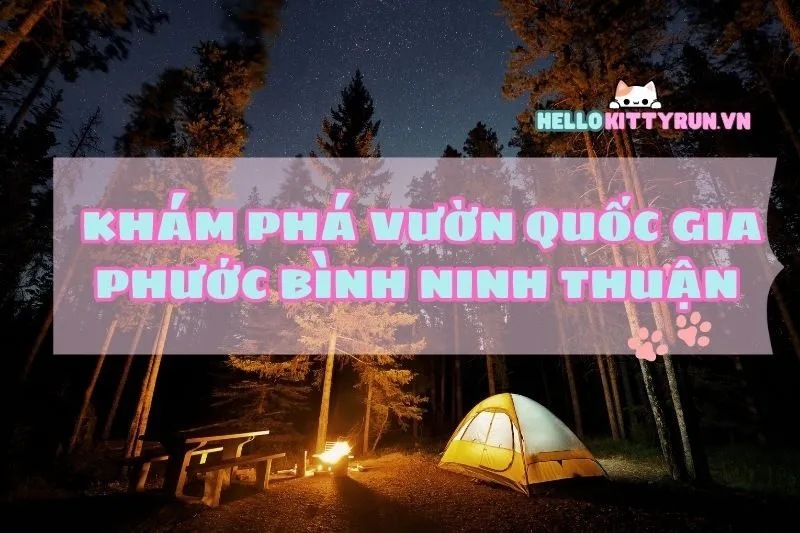 Khám phá Vườn quốc gia Phước Bình Ninh Thuận – Thiên đường xanh mát