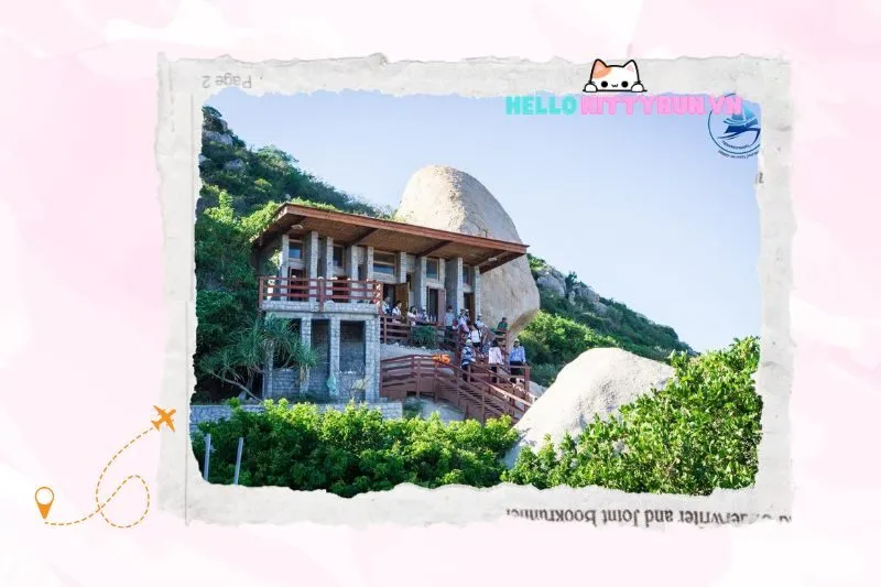 Tham quan khu bảo tồn rùa biển