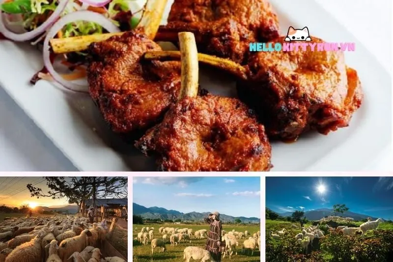 Thịt cừu Ninh Thuận có gì đặc biệt ?