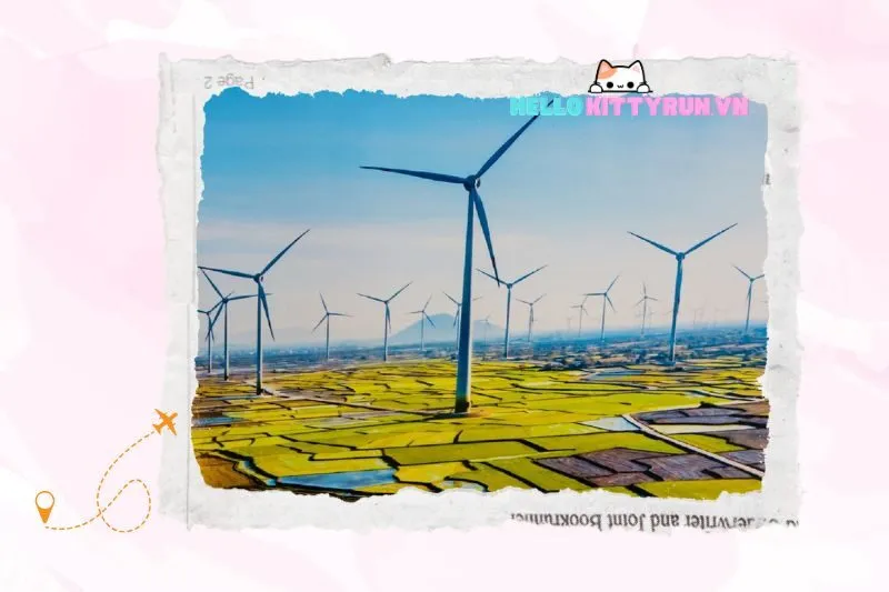 Thời Điểm Lý Tưởng Để Tham Quan Cánh Đồng Điện Gió Ninh Thuận