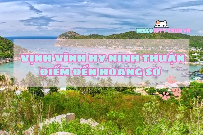 Vịnh Vĩnh Hy Ninh Thuận – Điểm đến hoang sơ và tuyệt đẹp