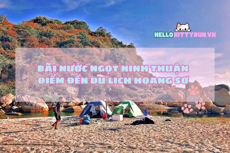 Bãi Nước Ngọt Ninh Thuận: Điểm Đến Du Lịch Hoang Sơ và Yên Bình