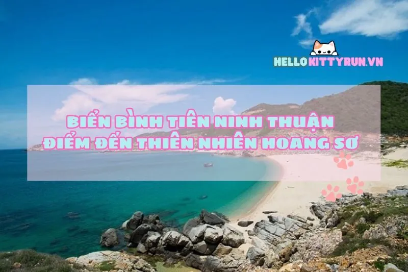 Biển Bình Tiên Ninh Thuận: Điểm đến thiên nhiên hoang sơ tuyệt đẹp