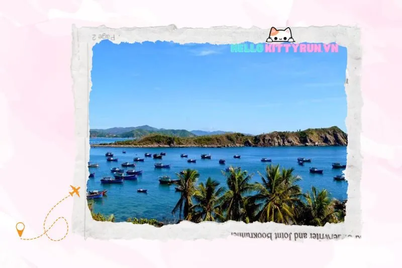 Các Hoạt Động Du Lịch Không Thể Bỏ Qua Tại Biển Cà Ná Ninh Thuận