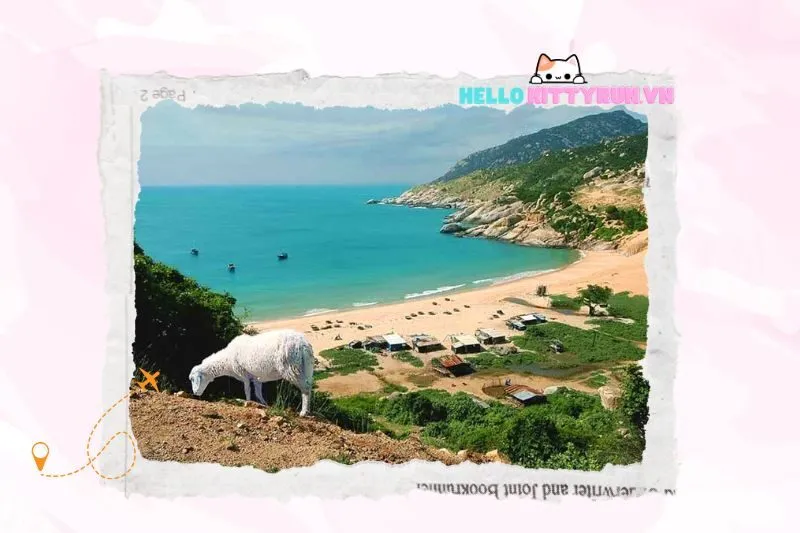 Các hoạt động tại Bãi Tràng Ninh Thuận