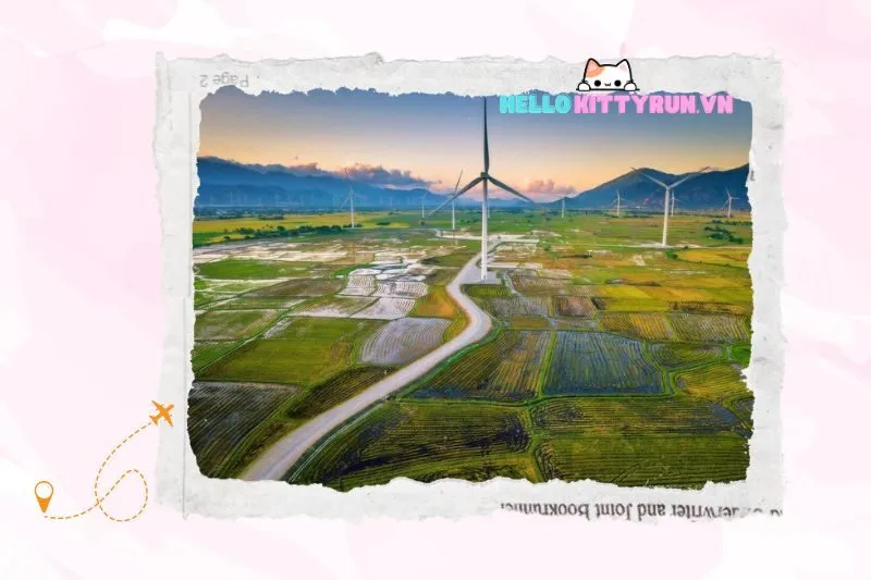 Cánh Đồng Quạt Gió Ninh Thuận - Khung Cảnh Hùng Vĩ Giữa Thiên Nhiên