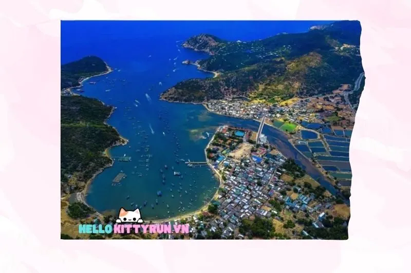 Câu Chuyện Bi Thương Và Ý Nghĩa Cái Tên Bà Điên