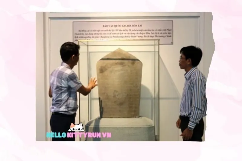 Khám Phá Các Hoạt Động Xung Quanh Bảo Tàng