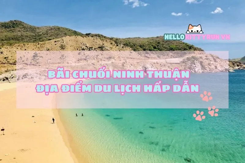 Khám Phá Bãi Chuối Ninh Thuận: Địa Điểm Du Lịch Hấp Dẫn và Thú Vị