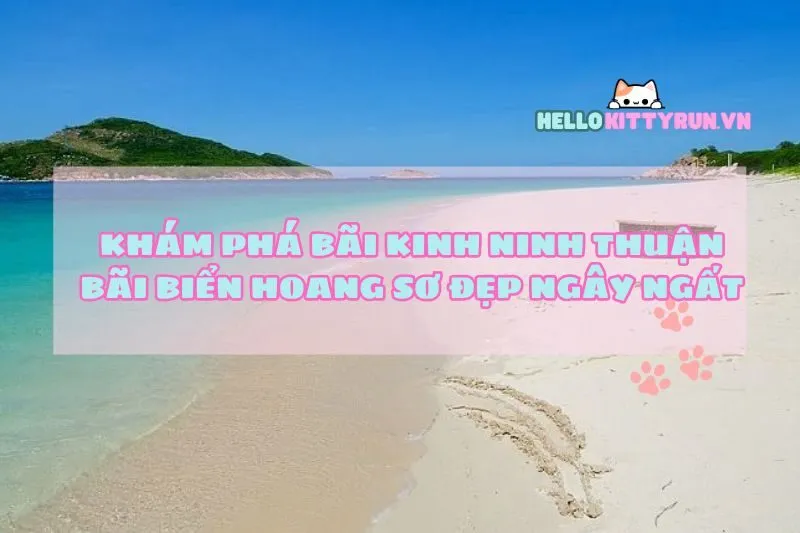 Khám Phá Bãi Kinh Ninh Thuận: Bãi Biển Hoang Sơ Đẹp Ngây Ngất