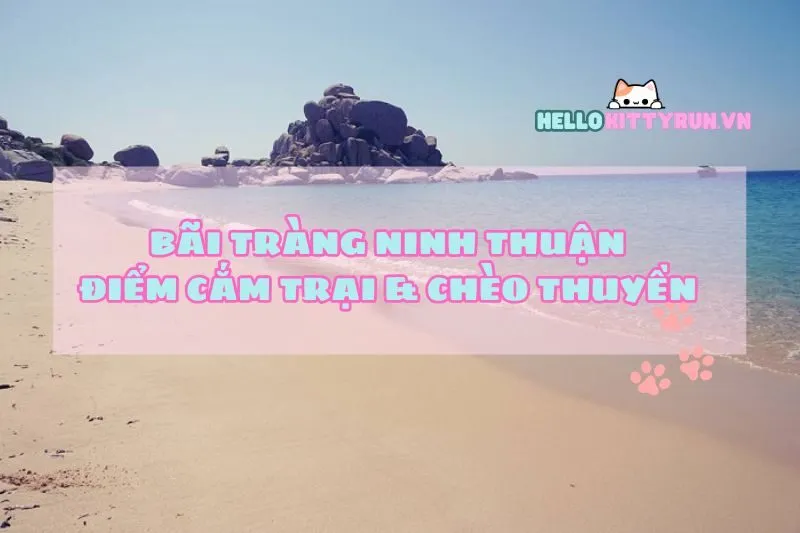 Khám Phá Bãi Tràng Ninh Thuận – Điểm Cắm Trại & Chèo Thuyền Kayak