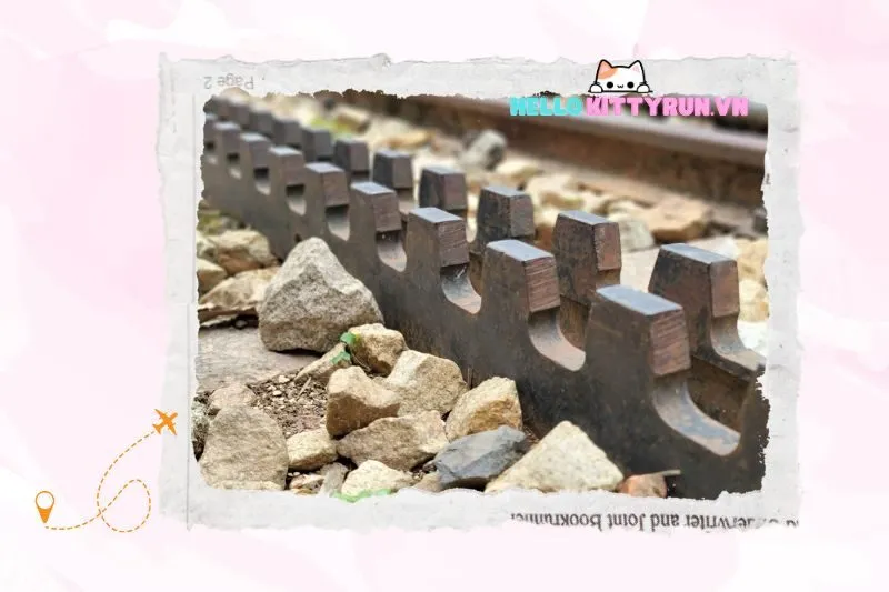 Khám Phá Các Trải Nghiệm Du Lịch Liên Quan Đến Đường Tàu Răng Cưa Phan Rang - Đà Lạt Ninh Thuận