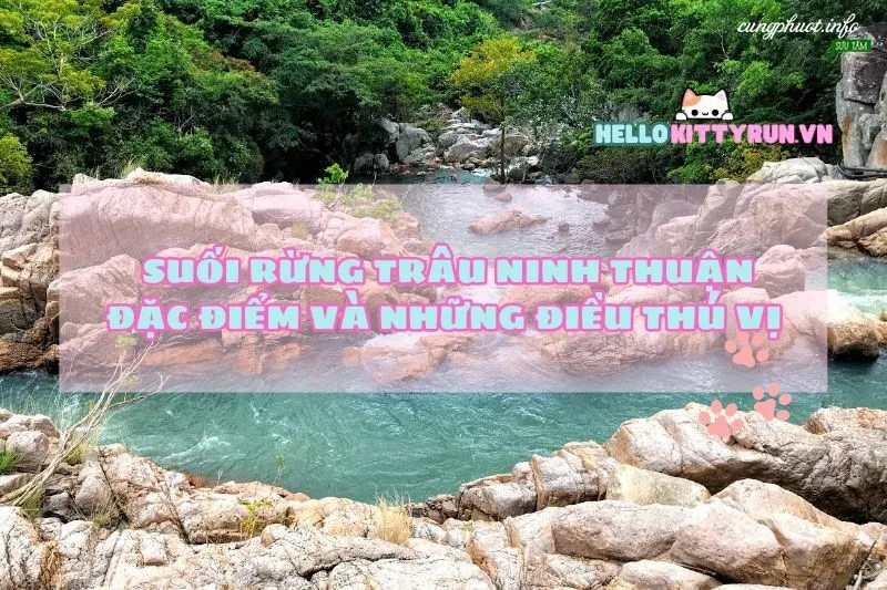 Khám Phá Suối Rừng Trâu Ninh Thuận: Đặc Điểm Và Những Điều Thú Vị