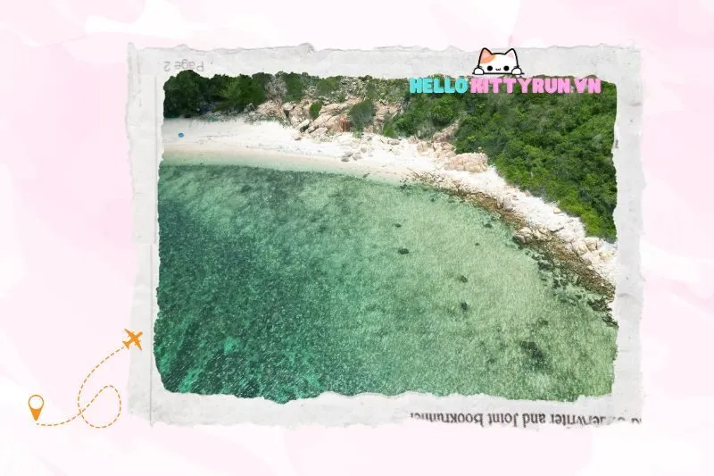 Khám Phá Vẻ Đẹp Thiên Nhiên Tại Bãi Thùng Ninh Thuận