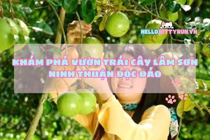 Khám Phá Vườn Trái Cây Lâm Sơn Ninh Thuận Độc Đáo
