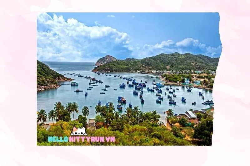 Những Lưu Ý Quan Trọng Khi Du Lịch Bãi Thùng Ninh Thuận