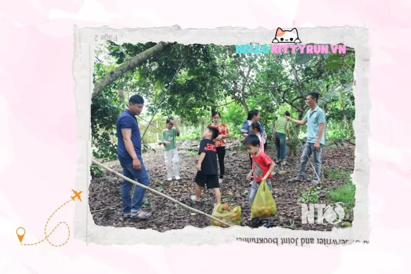 Trải Nghiệm Du Lịch Tại Vườn Trái Cây Lâm Sơn Ninh Thuận