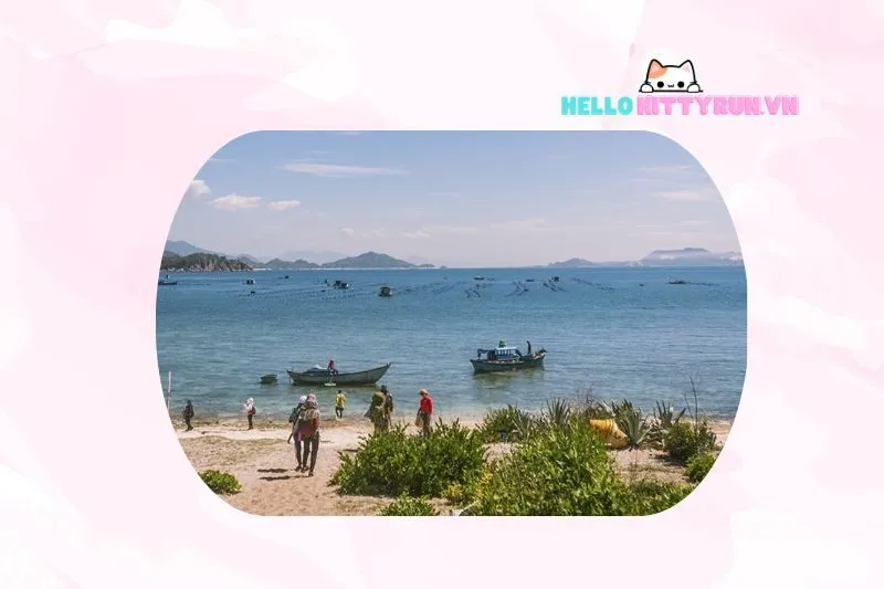 Bãi Phụ Hòn Quy - Điểm đến cắm trại lý tưởng ở Ninh Thuận