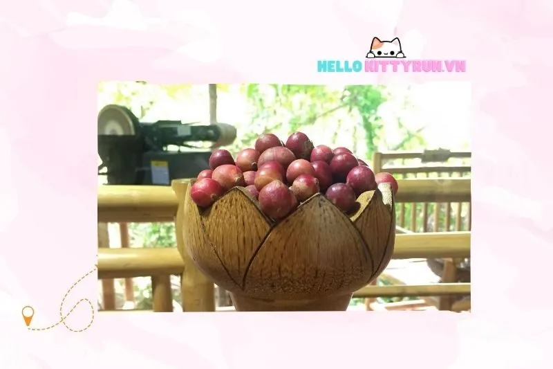 Cách thưởng thức trái da đá Ninh Thuận