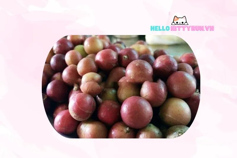 Giới thiệu về trái da đá Ninh Thuận