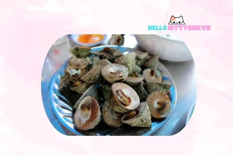 Gỏi ốc nón Ninh Thuận - Món ăn đặc sản độc đáo
