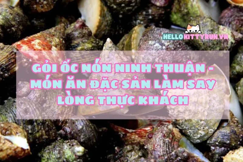 Gỏi ốc nón Ninh Thuận - Món ăn đặc sản làm say lòng thực khách