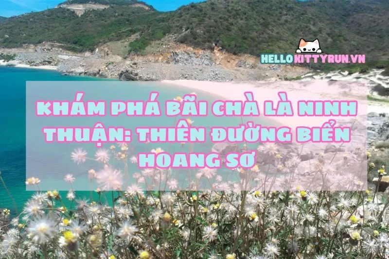 Khám Phá Bãi Chà Là Ninh Thuận: Thiên Đường Biển Hoang Sơ