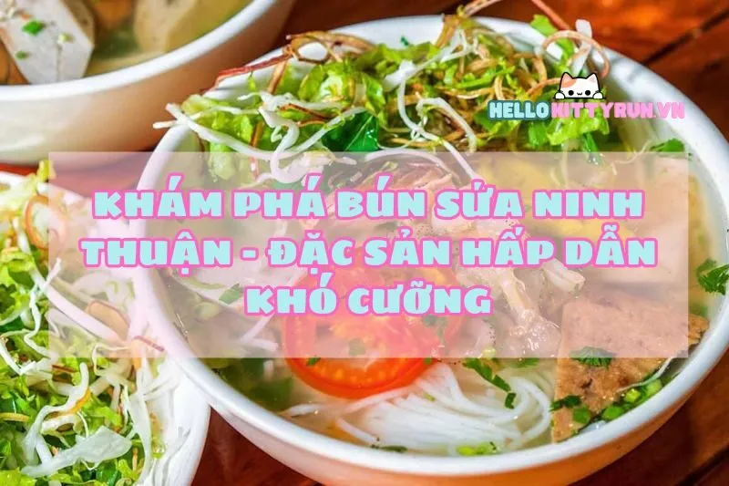 Khám phá Bún sứa Ninh Thuận - Đặc sản hấp dẫn khó cưỡng
