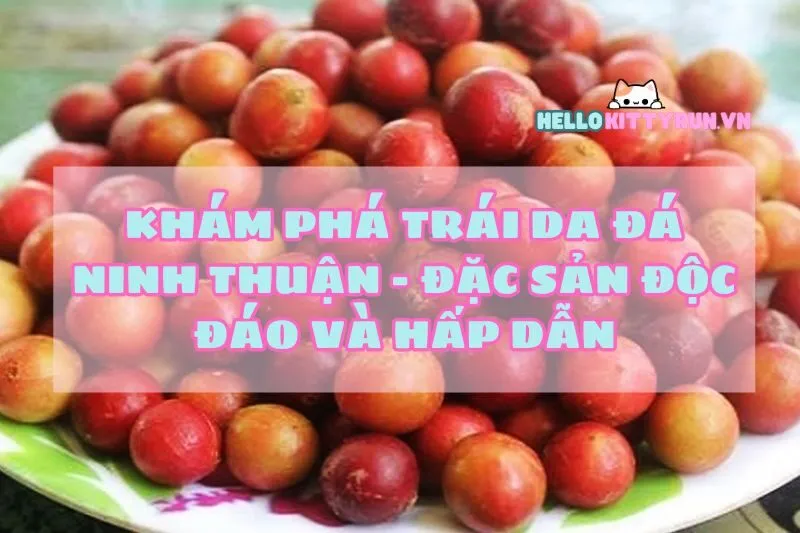 Khám phá trái da đá Ninh Thuận - Đặc sản độc đáo và hấp dẫn