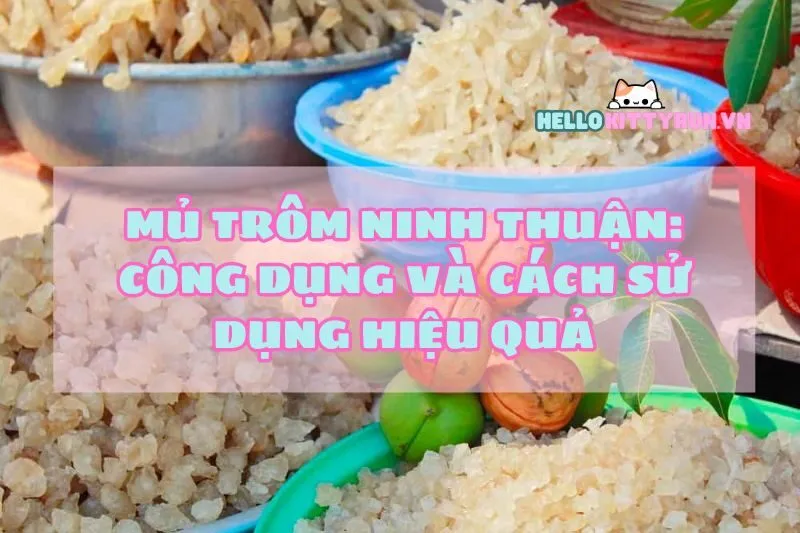 Mủ trôm Ninh Thuận: Công dụng và cách sử dụng hiệu quả