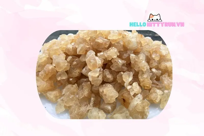 Mủ trôm Ninh Thuận là gì?