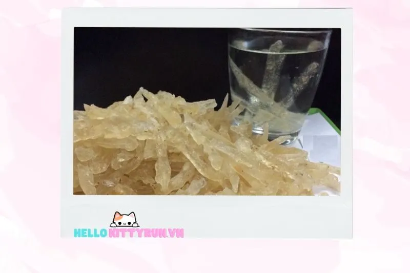 Những điều cần biết khi sử dụng mủ trôm
